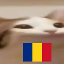 Armata Rom&amp;acirc;nÄƒ Popcat Server Icon