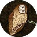 The Wildwood