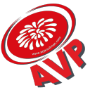 Discovery icon for AVP Vuurwerk Discord server