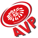AVP Vuurwerk