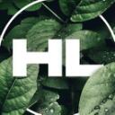 High life  Paradise Discord Server Icon