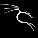 Destroyed By Raiders and Friend - discord server icon