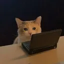 studywsansuu