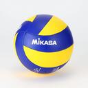   Volleyball Plaza!   Discord Server Icon