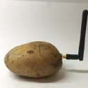 Potatonet Republic