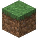 The Minecraft Server