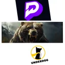Bear Bets