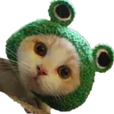 Frogs & Khajiits