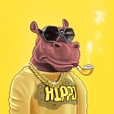Hammy Hippos