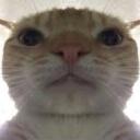 the true bacons Discord Server Icon