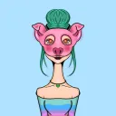 The Fæto Piggy