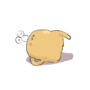 黄呂サバ