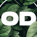 Odyssey Discord Server Icon