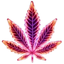 Lilac's Lit Lounge