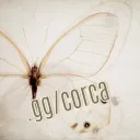 /corca • revamp!!