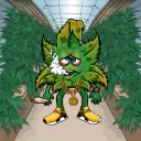 The Koolbuds NFT