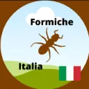 FormicheItalia