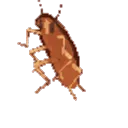 Twoja Stara