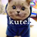 kute!