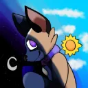 NocturnalCorgi's server