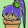 PlantKidz_NFT server