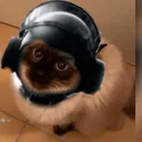 zCrxticxl´s Server