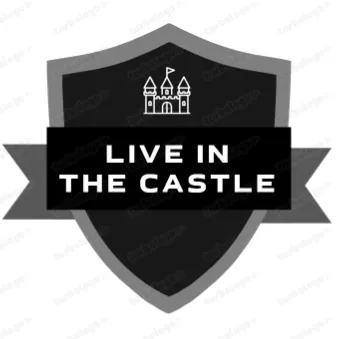 Live In The Castle — мониторинг Discord сервера, статистика и рейтинг
