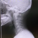 人はみんな骨鯖