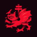 DRAGON SOCIETY Discord server logo