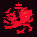 DRAGON SOCIETY Server Icon