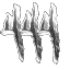 444