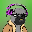 Grumpy Pugs