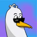 Serveur de GoelandFurtif
