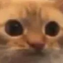 The Friendly Roleplay Community's icon