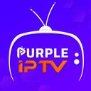 Purple Smart TV's Official Sever Discord Server Icon