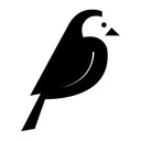 wagtail
