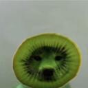 kiwi kult Discord Server Icon