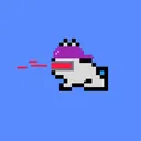 BBCC - Bungee Bunnies Crypto Club