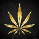 CannaHemp