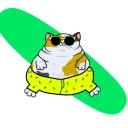 Mr. Plump szervere