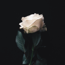 Doomerish Memories Discord server icon