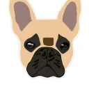 Posh Frenchie Club