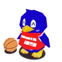 Penguin Basketball League (PBL)
