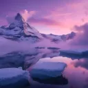 apricot central Discord Server Icon