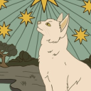 meows tarot Server Icon