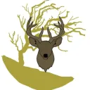 Willow Root Academy
