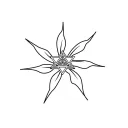 Merkaba Token.