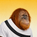 Discovery icon for Busco Editor Discord server