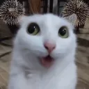 veleenia Discord Server Icon