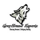 Greyhound Esports Discord Server Icon